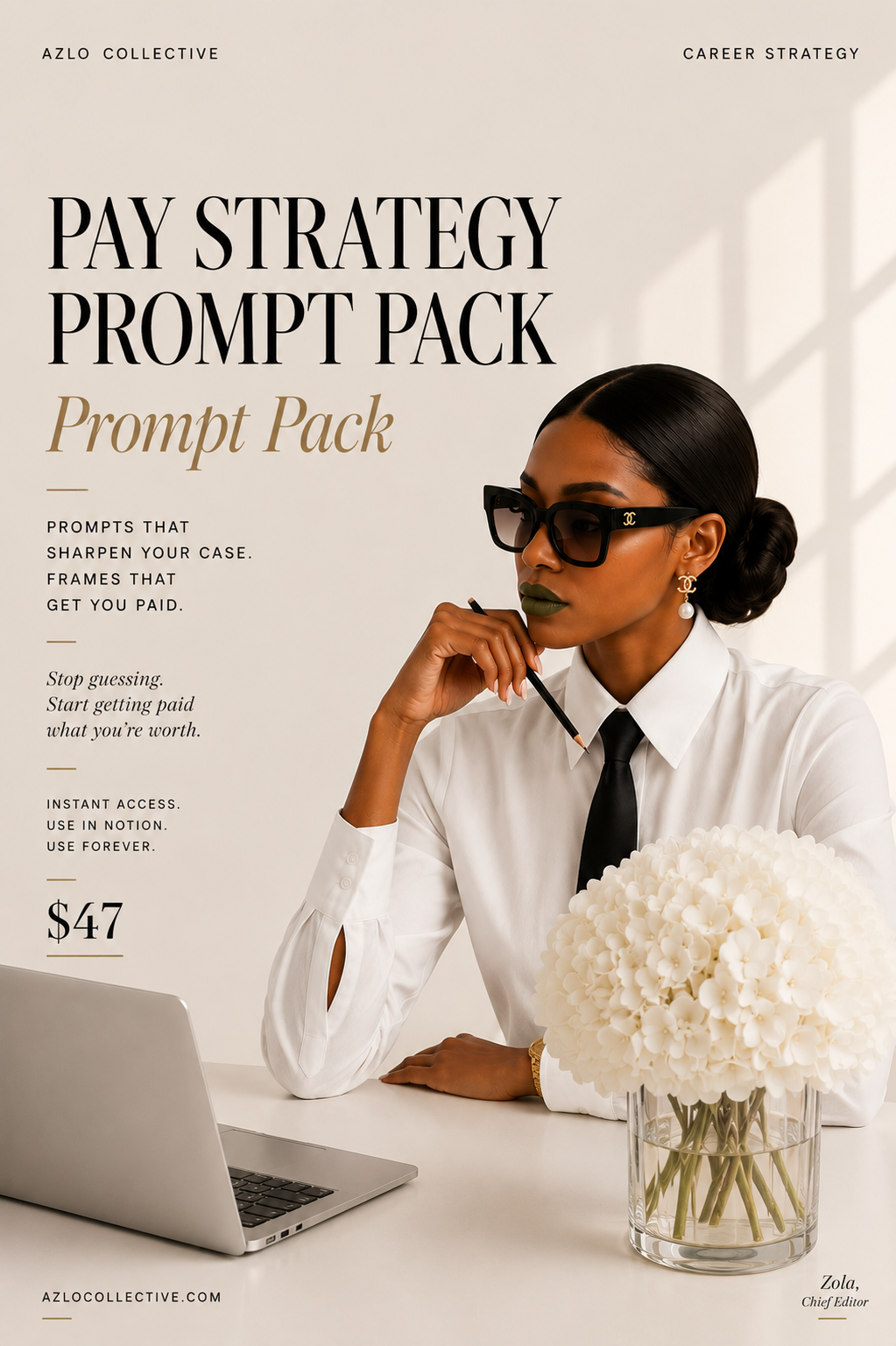 Pay Strategy Prompt Pack